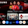 Téléviseur SAMSUNG TQ85Q7F4