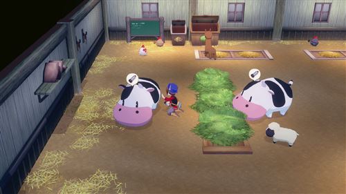 Jeu Nintendo Switch - Story of Seasons Grand Bazaar – Image 5